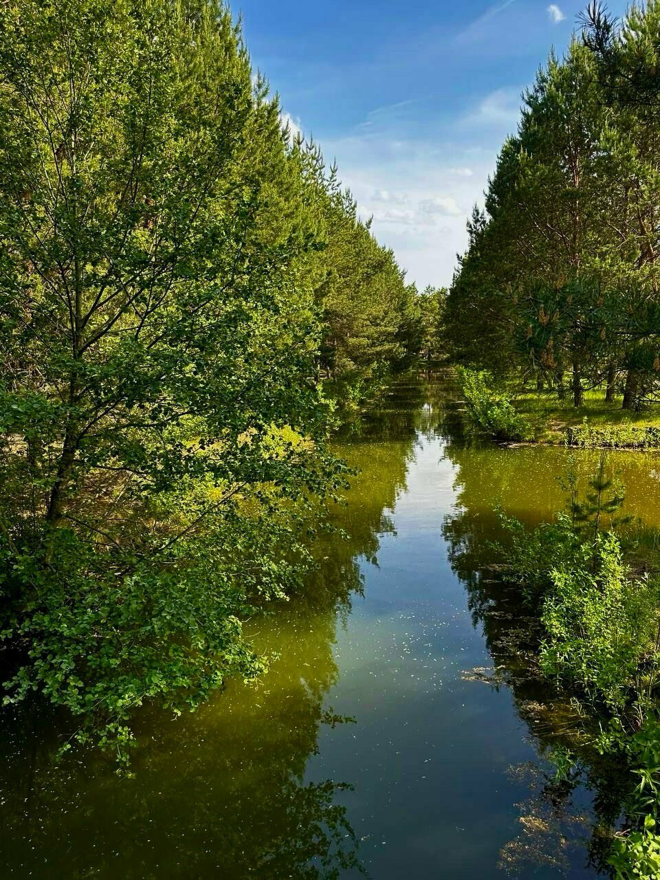 Гостиница Величъ Country Club Звенигород-14