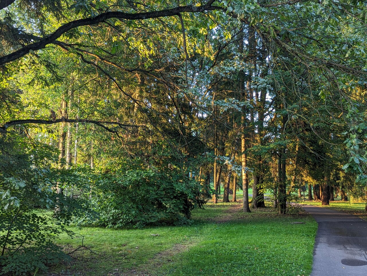 Гостиница Величъ Country Club Звенигород-180