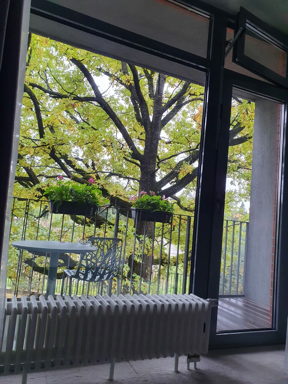 Гостиница Величъ Country Club Звенигород-157