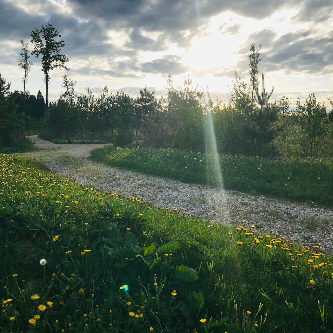 Гостиница Величъ Country Club Звенигород-59