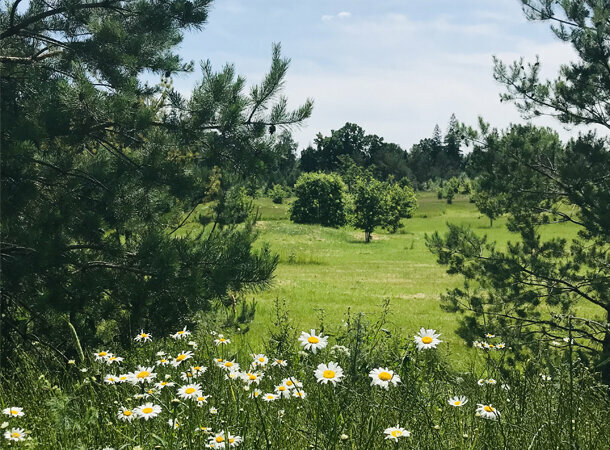 Гостиница Величъ Country Club Звенигород-45