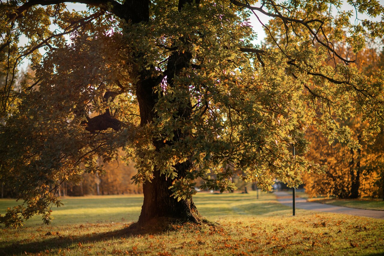 Гостиница Величъ Country Club Звенигород