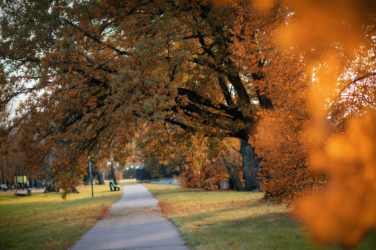 Гостиница Величъ Country Club Звенигород-27