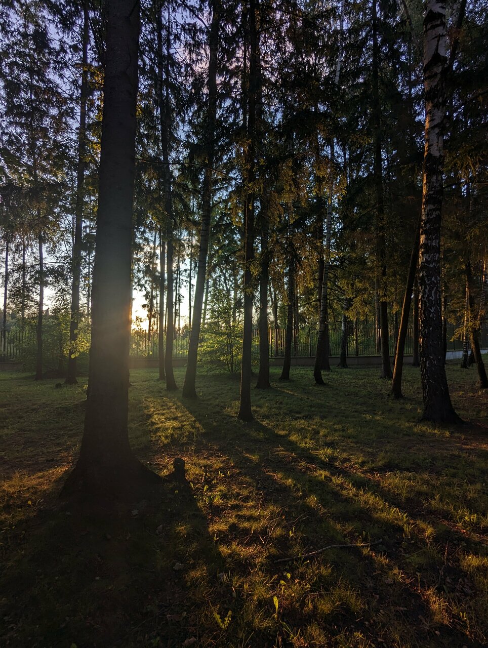 Гостиница Величъ Country Club Звенигород-197