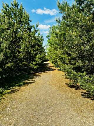 Гостиница Величъ Country Club Звенигород-7