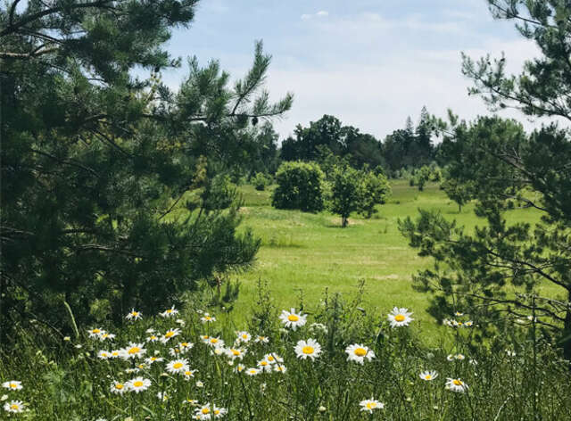 Гостиница Величъ Country Club Звенигород-44