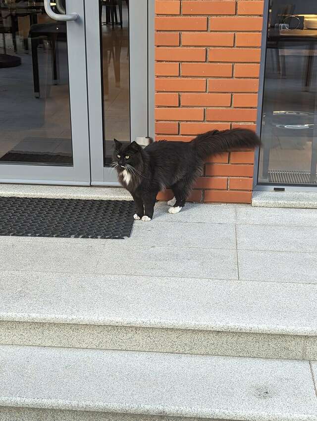 Гостиница Величъ Country Club Звенигород-168